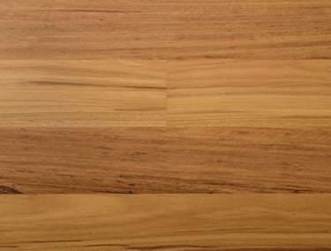 Australian Blackbutt 136